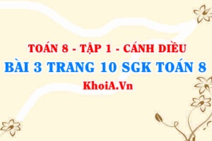 Bài 3 trang 10 SGK Toán 8 tập 1 Cánh Diều
